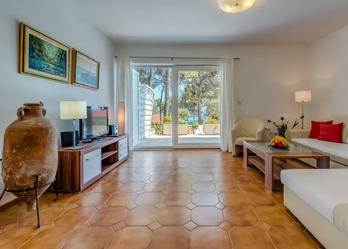 Tamar * Jelsa (Hvar)