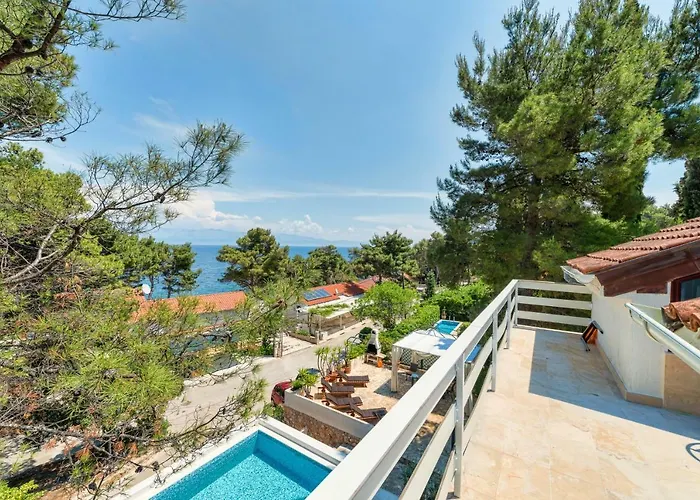 Tamar * Jelsa (Hvar)