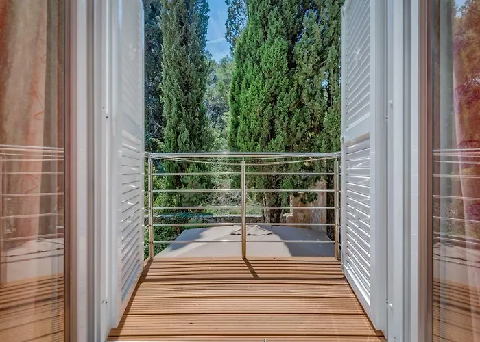 Tamar * Jelsa (Hvar)